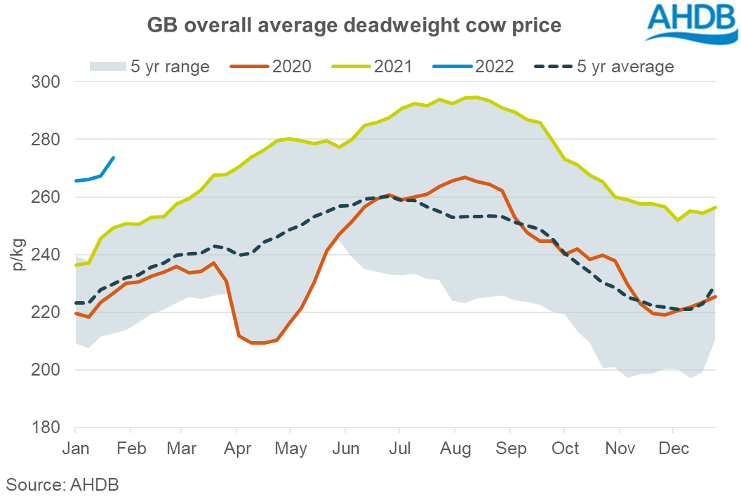 Graph showing weekly GB average deadweight cull cow prices